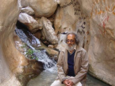 محمد حسین اخباری محمد حسین اخباری