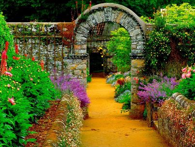 محمد علی رضاپور