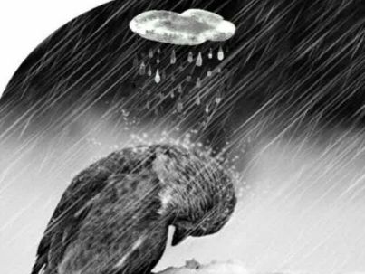 عکس شاعر فاطمه معینی فرد (معین)