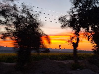 علی احمدی( امین)