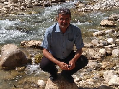 علیرضا محمودی
