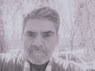 مجید بهلول (میثم)