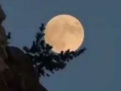 م فروزان