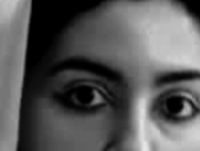 ندا افشار